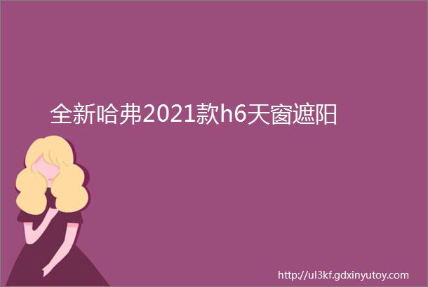 全新哈弗2021款h6天窗遮阳